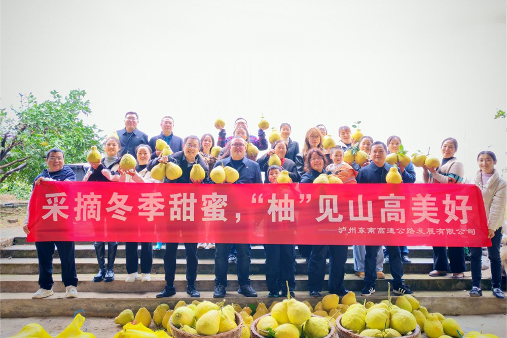 图片12.png